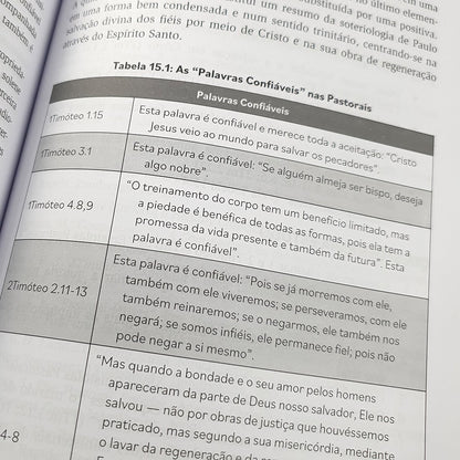 Introdução ao Novo Testamento |  Andreas J Köstenberger