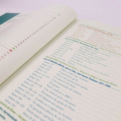 Maravilhoso | Descobrindo Jesus nos Salmos | Marty Machowski