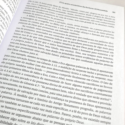 Teologia Sistemática | Completa e Atual | Wayne Grudem