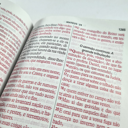 Bíblia da Mulher Vitoriosa | Letra Gigante | ARC | Dourada