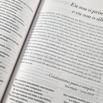 Bíblia C S Lewis | NVI | Leitura Perfeita | Capa Dura Azul e Dourado