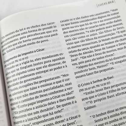 Bíblia C S Lewis | NVI | Leitura Perfeita | Capa Dura Azul e Dourado