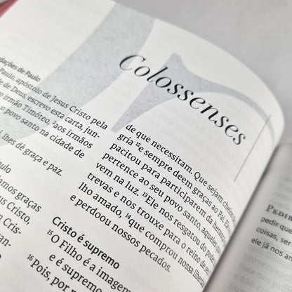 Bíblia C S Lewis | NVT | Leitura Perfeita | Capa Dura Vermelho e Dourado