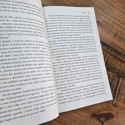 21 Homens da Bíblia e Seus Erros | Jorge Henrique Barro