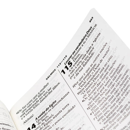 Bíblia Sagrada | Letra Extragigante | NTLH | Capa Luxo Pink