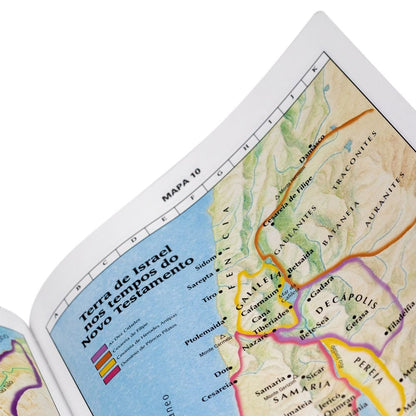 Bíblia Sagrada | Letra Extragigante | NTLH | Capa Luxo Pink