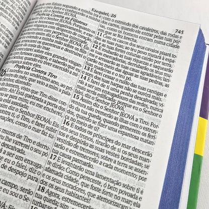 Bíblia Sagrada com Harpa Avivada e Corinhos Leão Brasil | ARC | Letra Gigante | Capa Dura