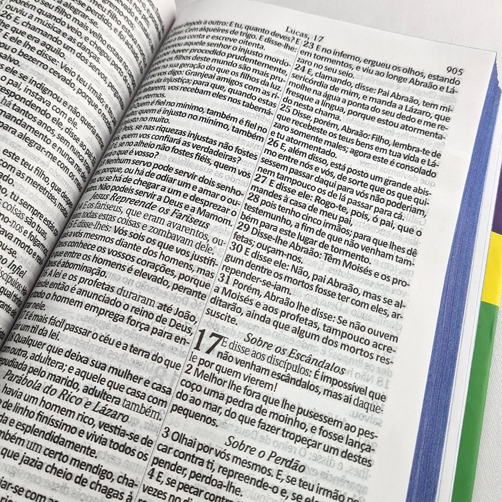 Bíblia Sagrada com Harpa Avivada e Corinhos Leão Brasil | ARC | Letra Gigante | Capa Dura