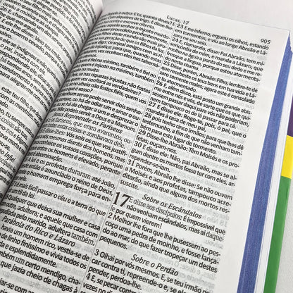 Bíblia Sagrada com Harpa Avivada e Corinhos Leão Brasil | ARC | Letra Gigante | Capa Dura