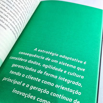 Estratégia Adaptativa | Sandro Magaldi e José Salibi Neto
