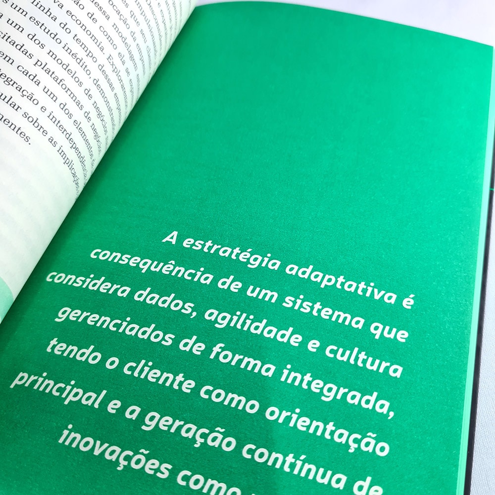 Estratégia Adaptativa | Sandro Magaldi e José Salibi Neto