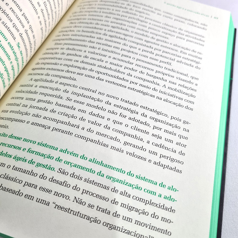Estratégia Adaptativa | Sandro Magaldi e José Salibi Neto