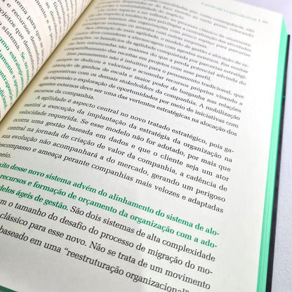 Estratégia Adaptativa | Sandro Magaldi e José Salibi Neto