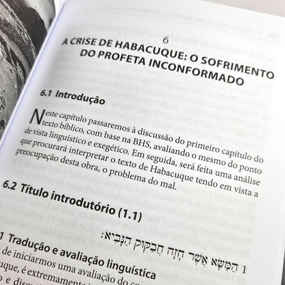 O Problema do Mal no Antigo Testamento | Luiz Sayão