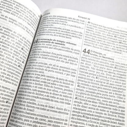 Bíblia Sagrada Edição Comparativa | ARC e NVI | Letra Média | Capa Luxo Flor de Henna