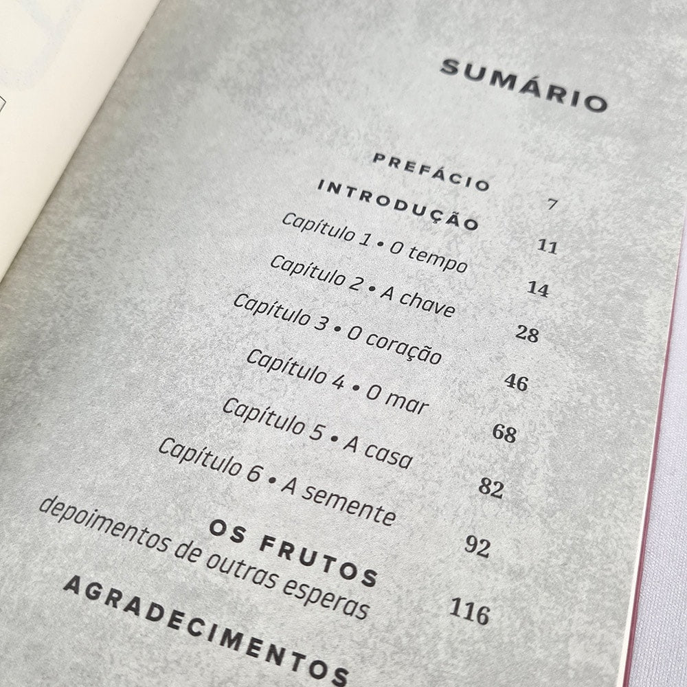 Enquanto Isso | Capa Brochura | Fernanda Witwytzky