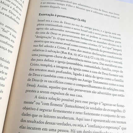 Comentário Expositivo Carta aos Hebreus | Grant R. Osborne