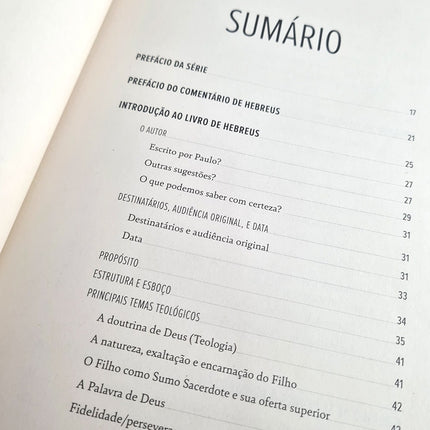 Comentário Expositivo Carta aos Hebreus | Grant R. Osborne