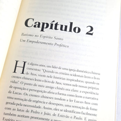 Teologia Pentecostal | Robert Menzies