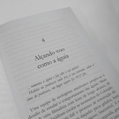 Quem é Você? Águia ou Galinha? | Jorge Linhares