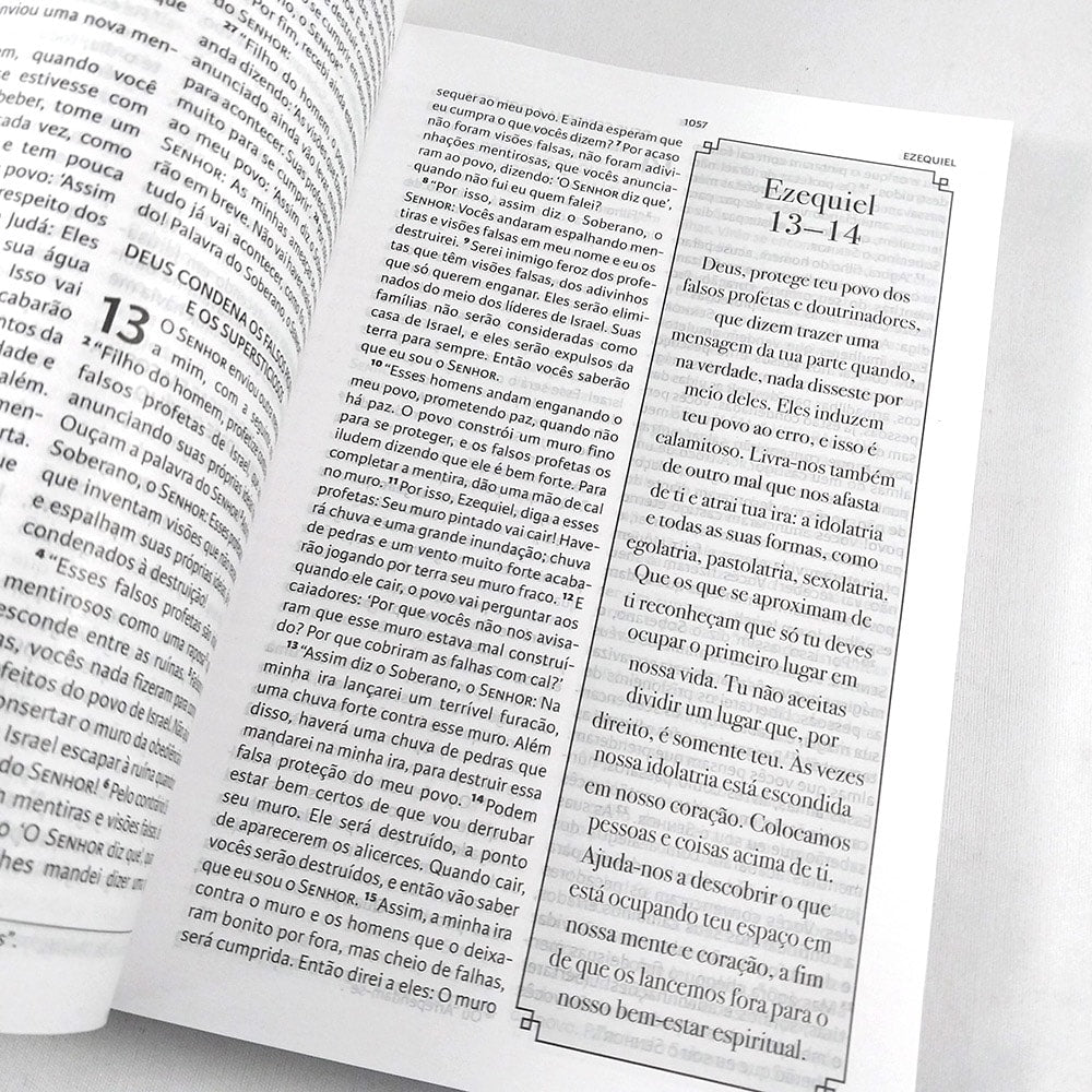 Bíblia Palavra Orada e Aplicada | NBV | Letra Normal | Capa Dura Oração de Jeremias