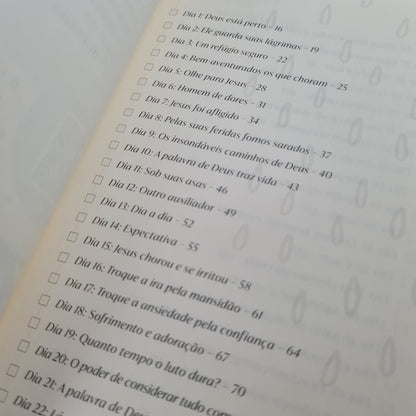 Devocional Para o Coração Ferido | Journal Book | Paul Tautges