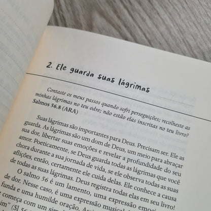 Devocional Para o Coração Ferido | Journal Book | Paul Tautges