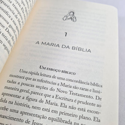 Tudo Que o Cristão Precisa Saber Sobre Maria | Leonardo De Chirico