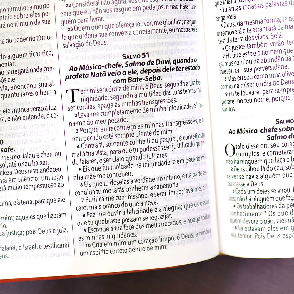 Bíblia King James 1611 | Fiel | Terra Cota