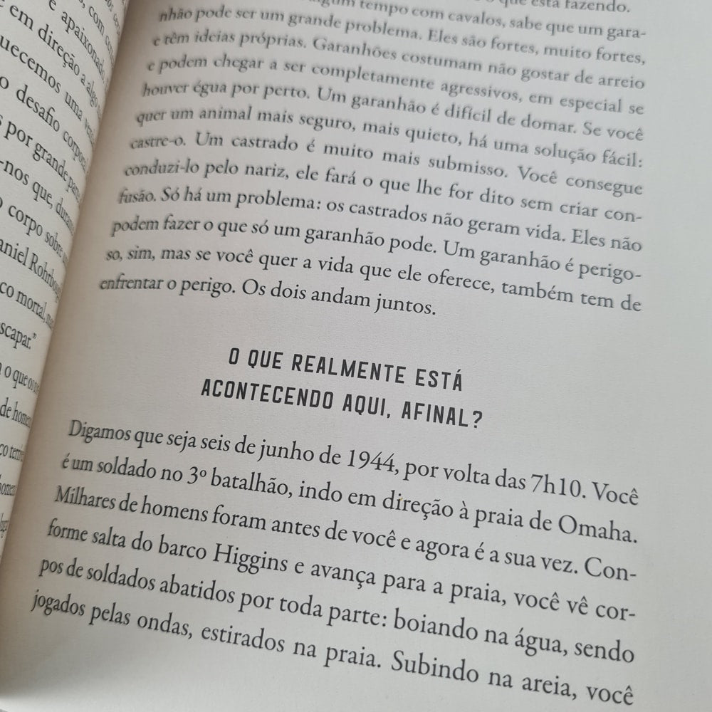 Coração Selvagem | John Eldredge