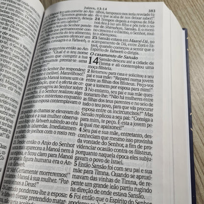 Bíblia King James Atualizada | KJA | Letra Gigante | Capa Dura Vinho