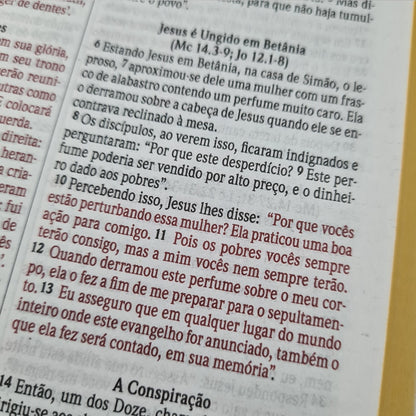 Bíblia Sagrada Leão Marrom| NVI | Capa Soft Touch