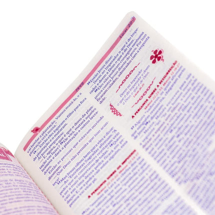 Bíblia Sagrada Entre Meninas e Deus | NTLH | Letra Normal | Capa Luxo Magnólia