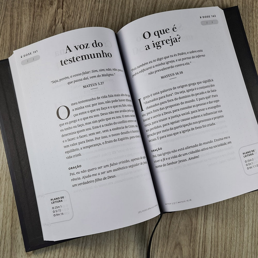 Devocional 365 Doses Bíblicas Diárias | Capa Dura Ornamentos