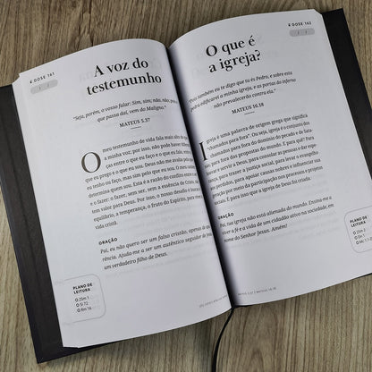 Devocional 365 Doses Bíblicas Diárias | Capa Dura Ornamentos