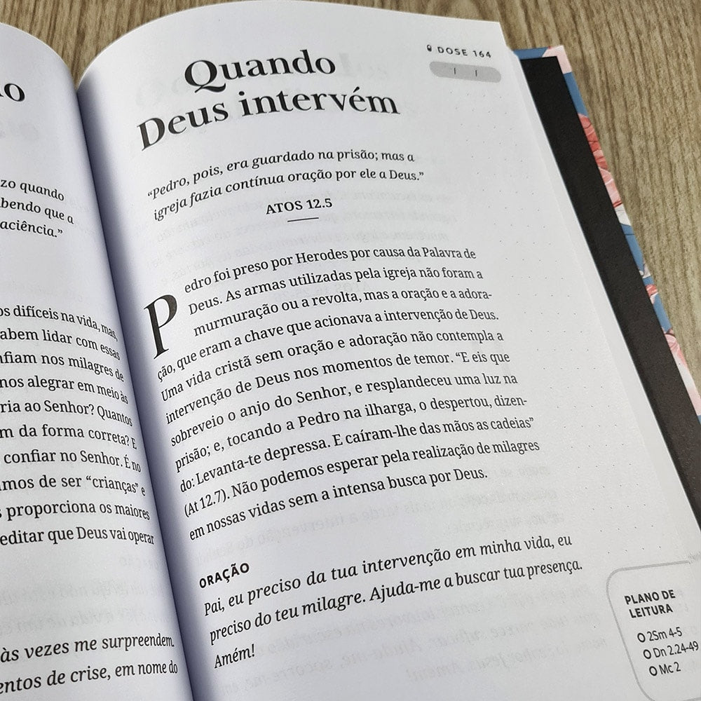 Devocional 365 Doses Bíblicas Diárias | Capa Dura Ornamentos