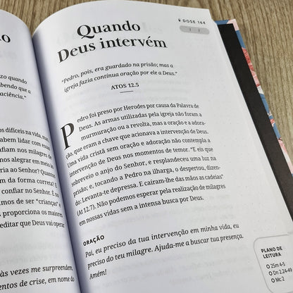 Devocional 365 Doses Bíblicas Diárias | Capa Dura Ornamentos