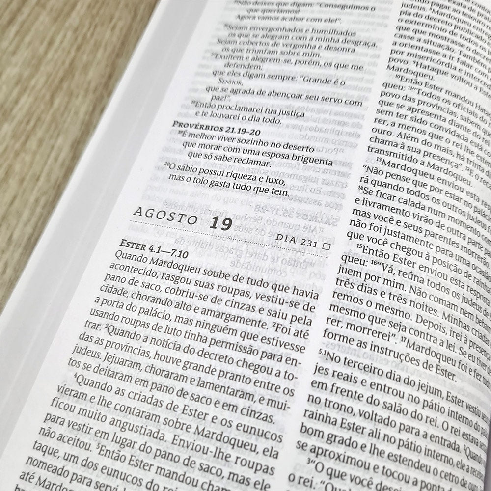 Bíblia 365 Espinhos | NVT | Letra Normal | Capa Brochura