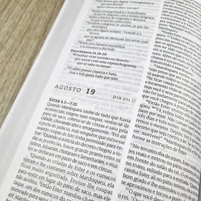 Bíblia 365 Espinhos | NVT | Letra Normal | Capa Brochura