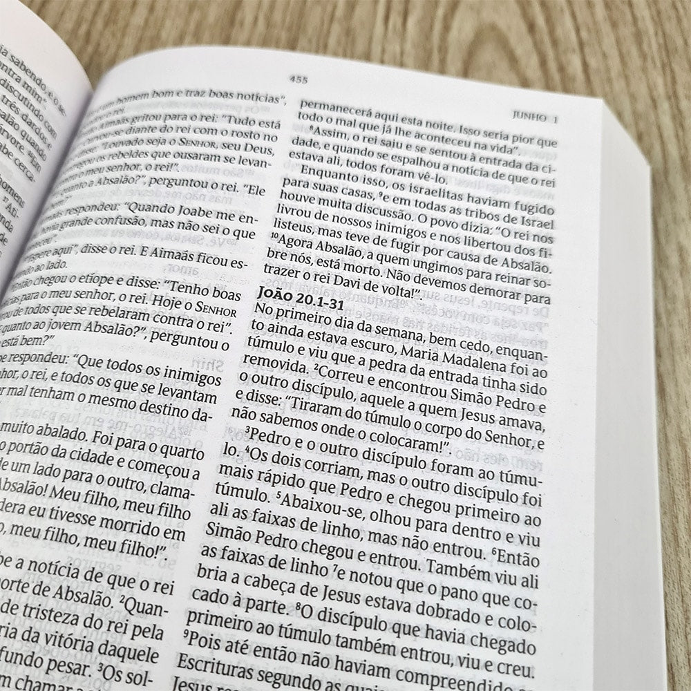 Bíblia 365 Espinhos | NVT | Letra Normal | Capa Brochura