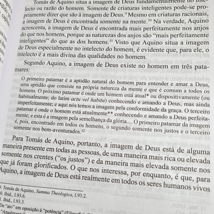 Criados à Imagem de Deus | Anthony A. Hoekema