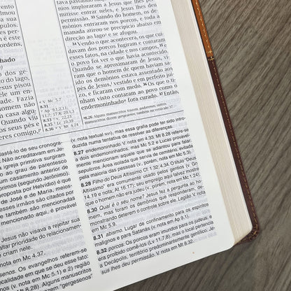 Bíblia de Estudo | NVI | Letra Normal | Capa Luxo Marrom e Caramelo