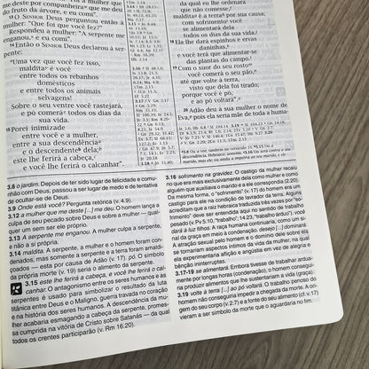 Bíblia de Estudo | NVI | Letra Normal | Capa Luxo Pink