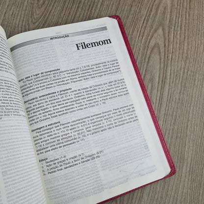 Bíblia de Estudo | NVI | Letra Normal | Capa Luxo Pink