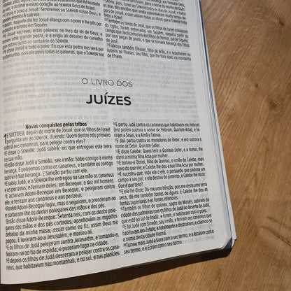 Bíblia Sagrada Habitou Entre Nós | ACF | Letra Maior | Capa Luxo