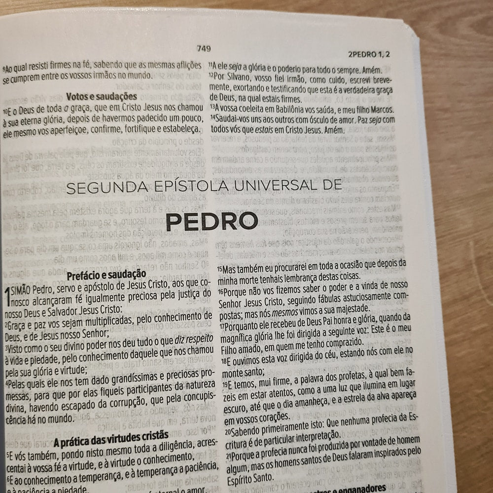 Bíblia Sagrada Habitou Entre Nós | ACF | Letra Maior | Capa Luxo