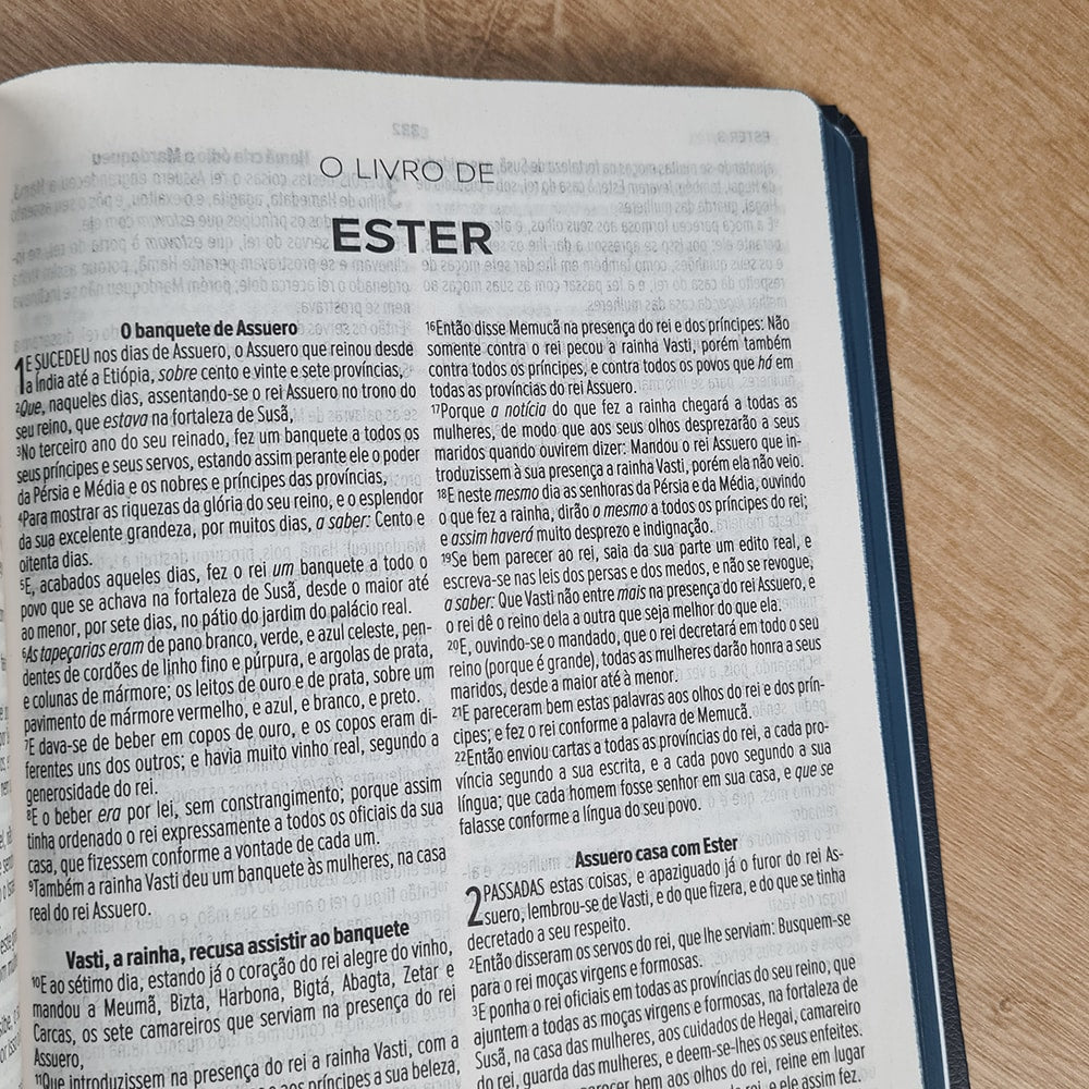 Bíblia Sagrada Leão da Tribo de Judá | ACF | Letra Maior | Capa Luxo