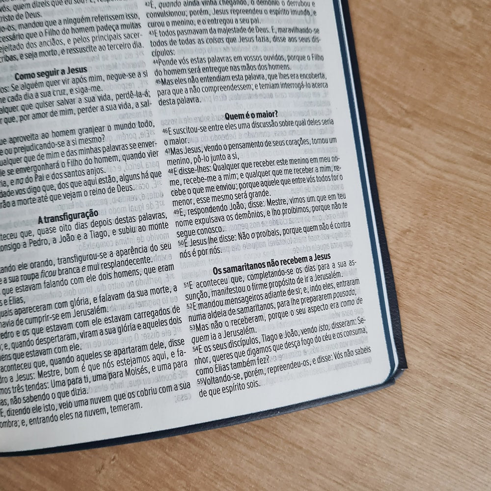 Bíblia Sagrada Leão da Tribo de Judá | ACF | Letra Maior | Capa Luxo