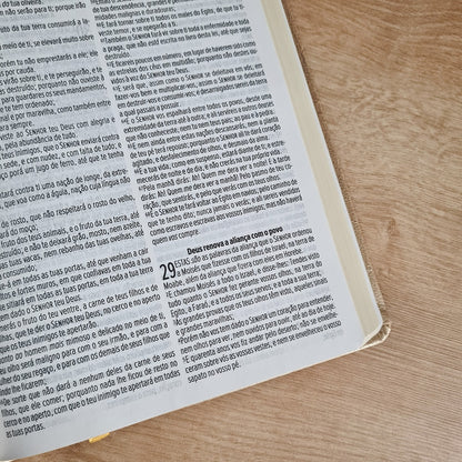 Bíblia Sagrada Cruz Nude | ACF | Letra Maior | Capa Luxo