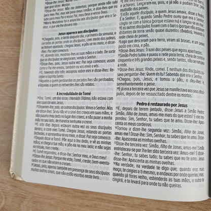 Bíblia Sagrada Cruz Nude | ACF | Letra Maior | Capa Luxo